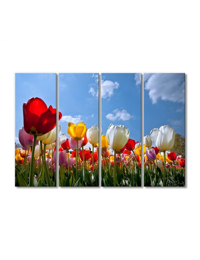 Картина модульная Радужная поляна тюльпанов 4 модуля 60x90 см (212913cvety_i_rasteniya)