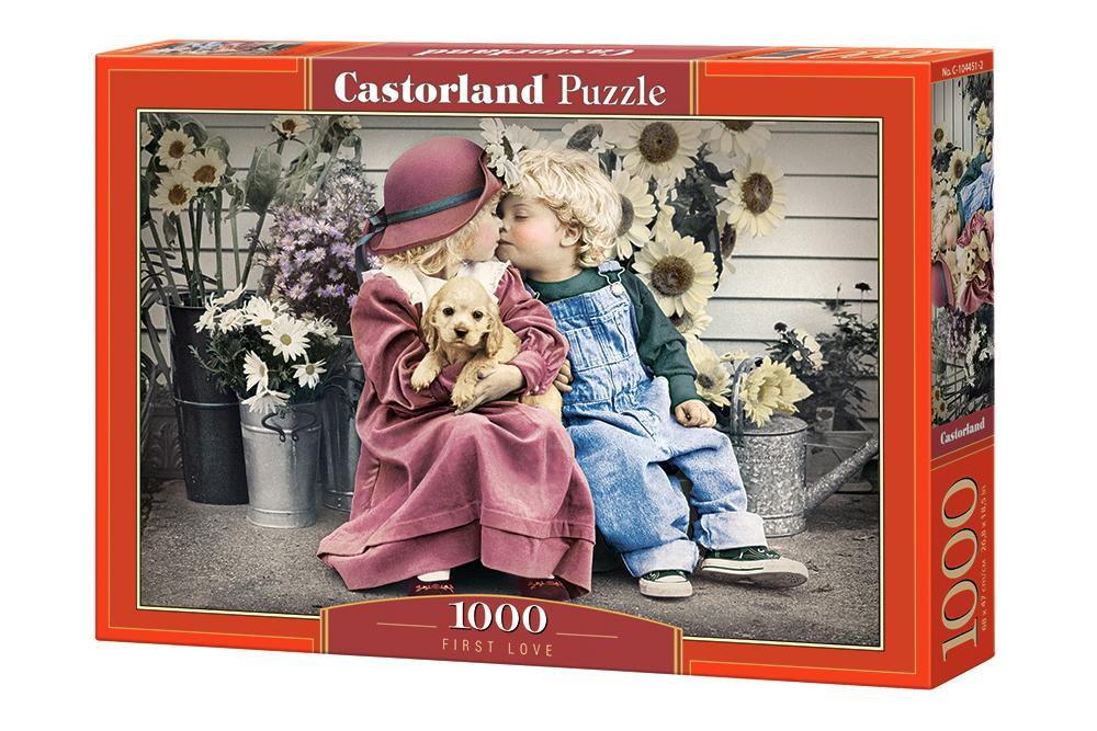 Пазли Castorland 1000 Перше кохання 68x47 см (MTT-106044)