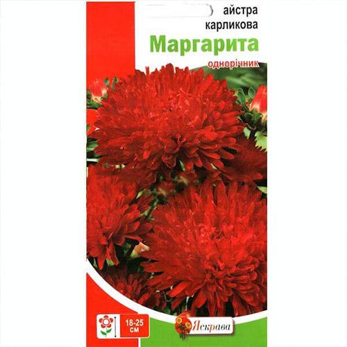 Семена Астра Florium карликовая Маргарита (12431) - фото 2 Семена Астра Florium карликовая Маргарита (12431) - фото 2