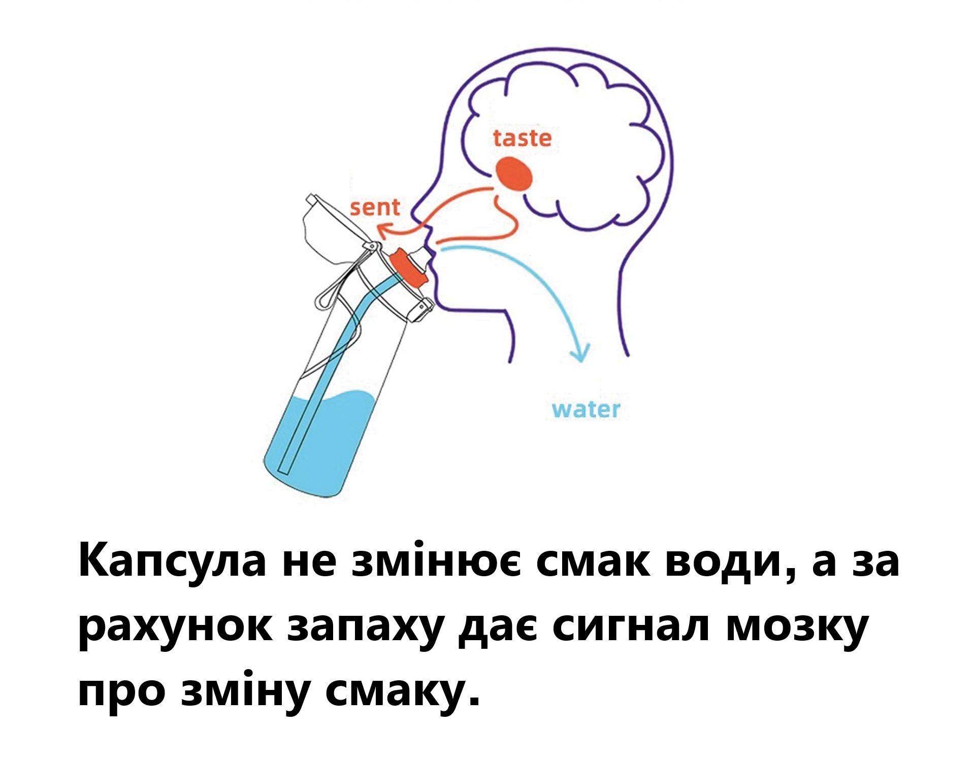 Бутылка с картриджами для вкуса 650 мл Голубой (0510) - фото 3