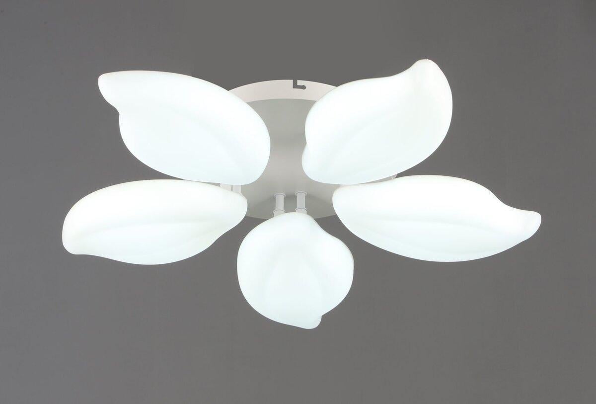 Люстра Valeso 5 плафонів LED 60W 3000K+6500K Білий (YH1408/5)