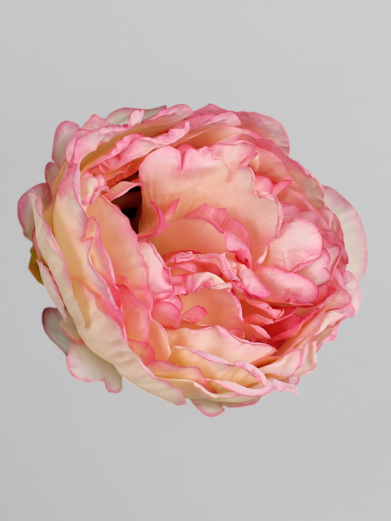 Штучна голівка півонії 10 см Біло-рожевий (К05061)