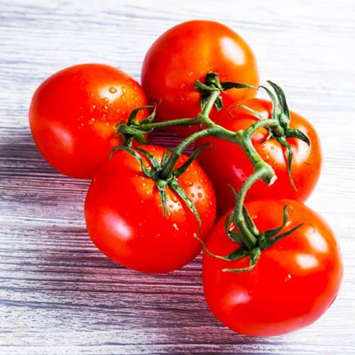 Семена Томат Florium Ред Черрі (17249)