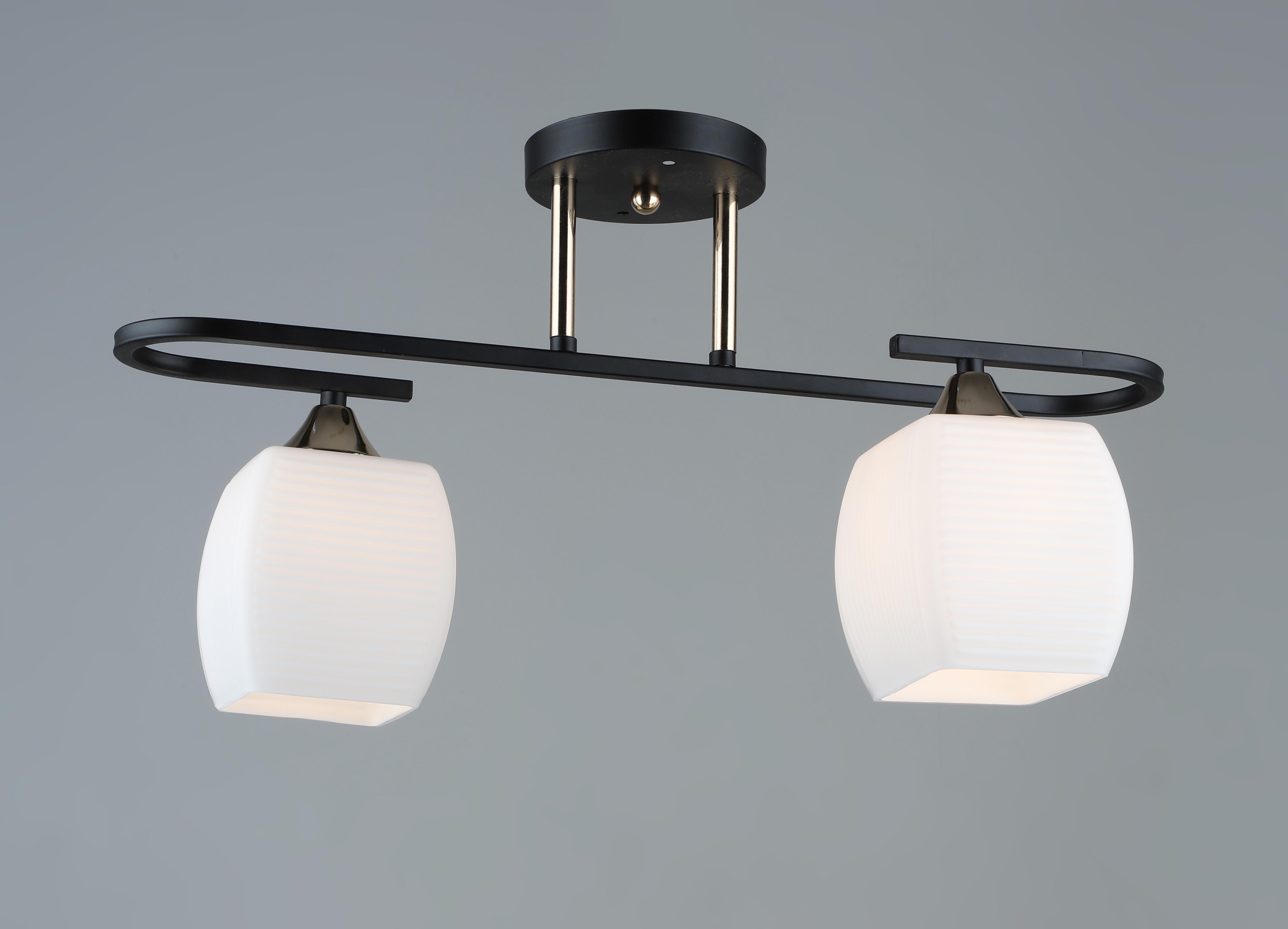 Люстра декоративна Sirius B N5485/2 BK+FGD