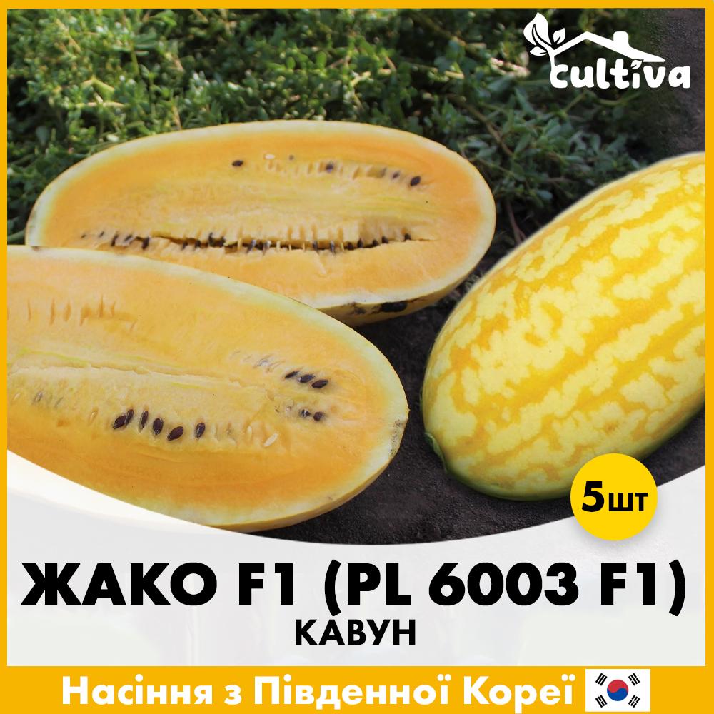 Насіння кавуну Asia Seed Жако F1 5 шт. (R51074)