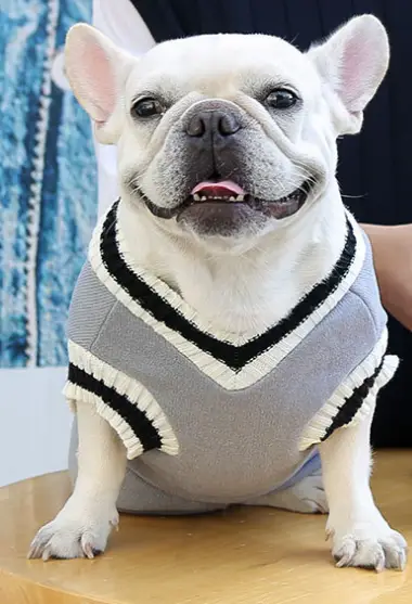 Жилет для собак теплий на флісі M Сірий (2035041539) - фото 3