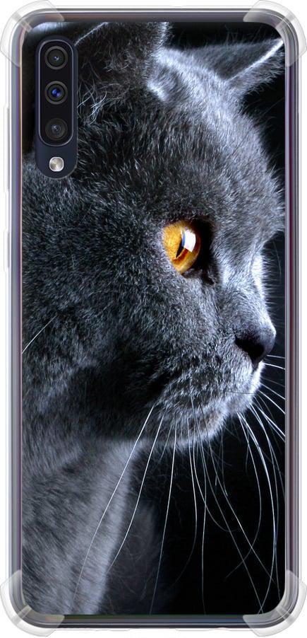 Чехол на Samsung Galaxy A50 2019 A505F Красивый кот (3038sp-1668-42517)
