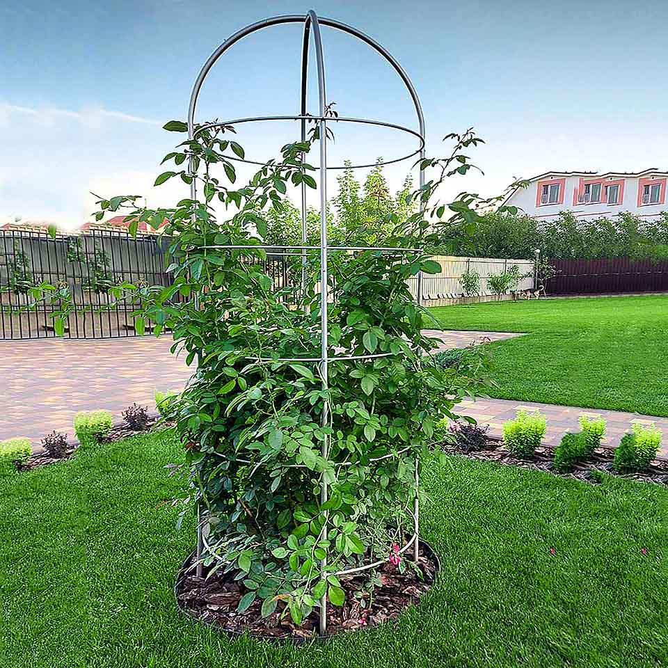 Опора для растений арочно-кольцевая на пять колец 2400х700х700 мм (АКО-D16/D8-2400*700/5) - фото 8 Опора для растений арочно-кольцевая на пять колец 2400х700х700 мм (АКО-D16/D8-2400*700/5) - фото 8