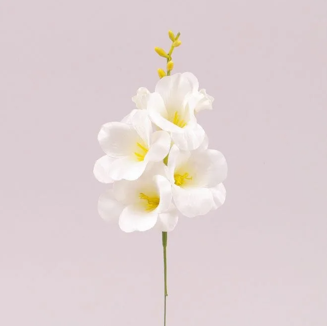 Цветок Фрезия Flora Белый (72865)