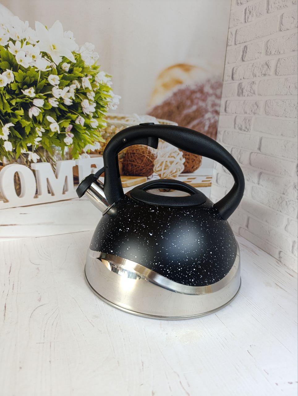 Чайник со свиском Styleberg WK-1385A из нержавеющей стали 3 л Черный (30078185)