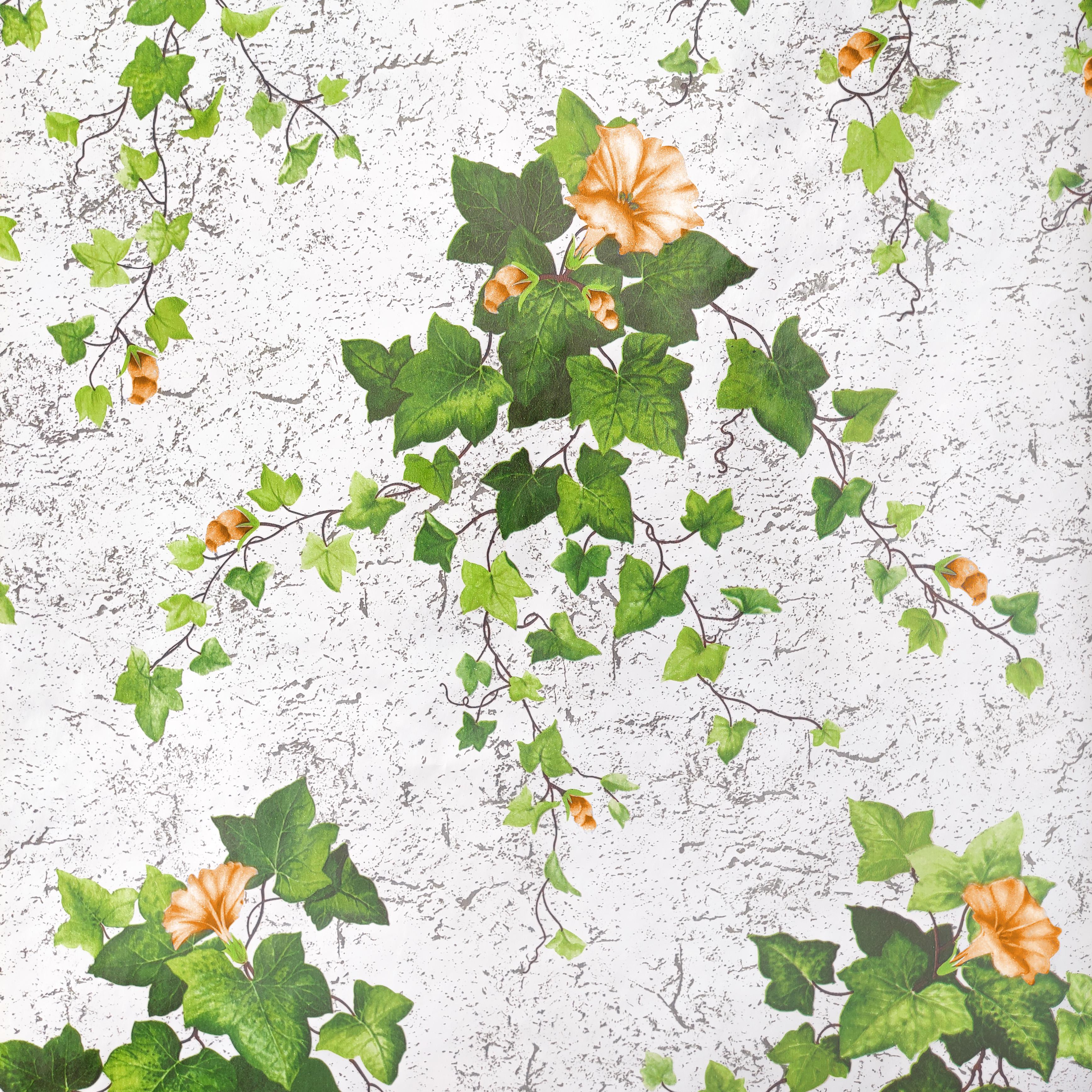 Обои бумажные влагостойкие Шарм Плющ (09-01)