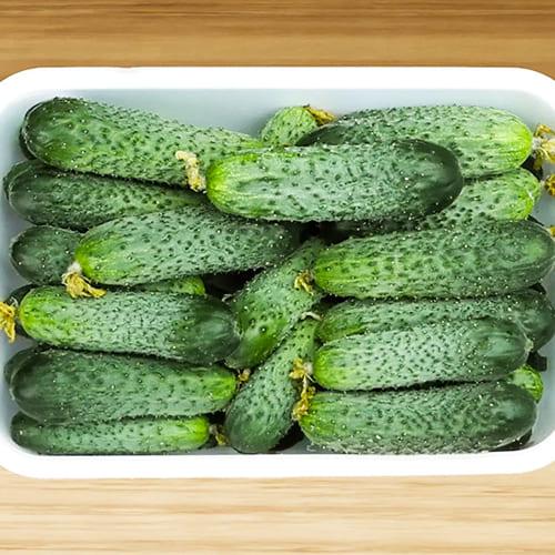 Семена Огірок Florium Директор F1 (16001)