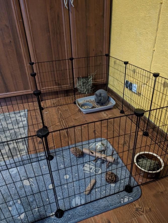 Клітка для гризунів 46х143х73 см - фото 12 Клітка для гризунів 46х143х73 см - фото 12