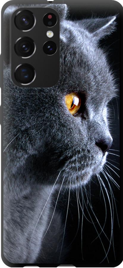 Чехол на Samsung Galaxy S21 Ultra Красивый кот (3038b-2116-42517)