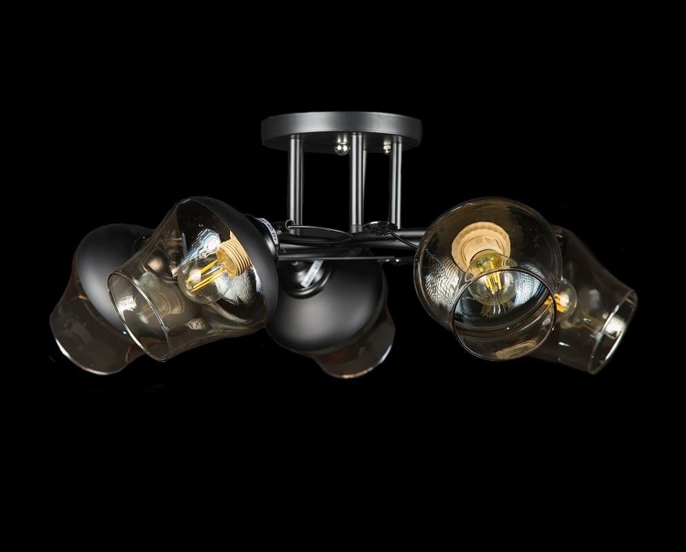 Люстра с плафонами Splendid Ray (L7398/5 BLK)