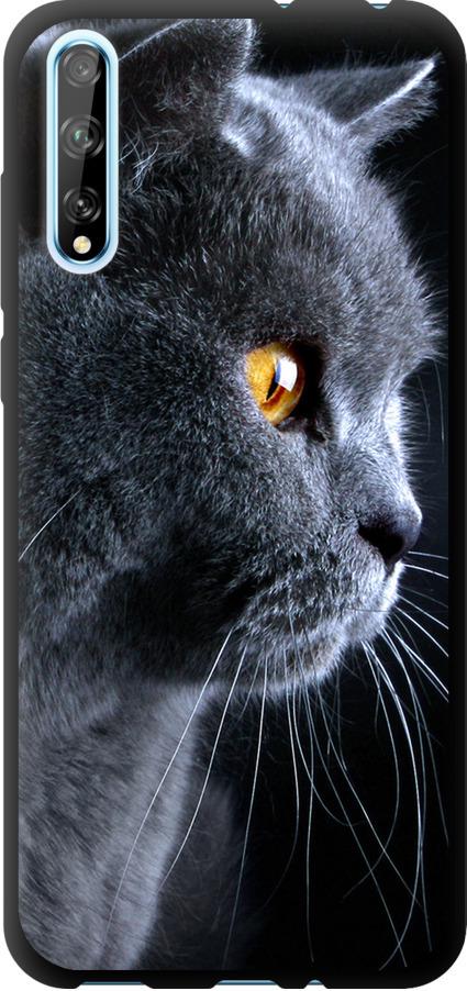 Чехол на Huawei P Smart S Красивый кот (3038b-1813-42517)