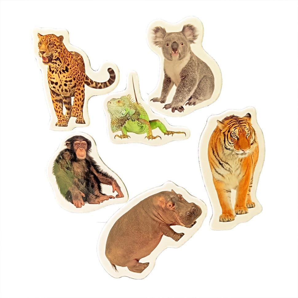 Магніти Magdum Тварини Зоопарку 6 шт. від 3 років Бронзовий (ID-173-N-7)