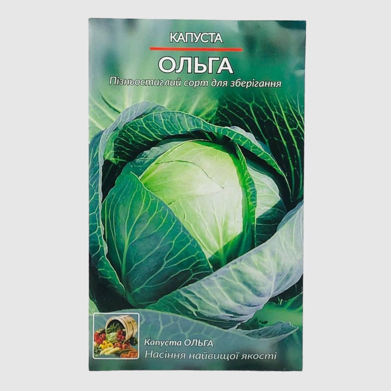 Семена капусты Ольга позднеспелая 5 г (31669) Семена капусты Ольга позднеспелая 5 г (31669)