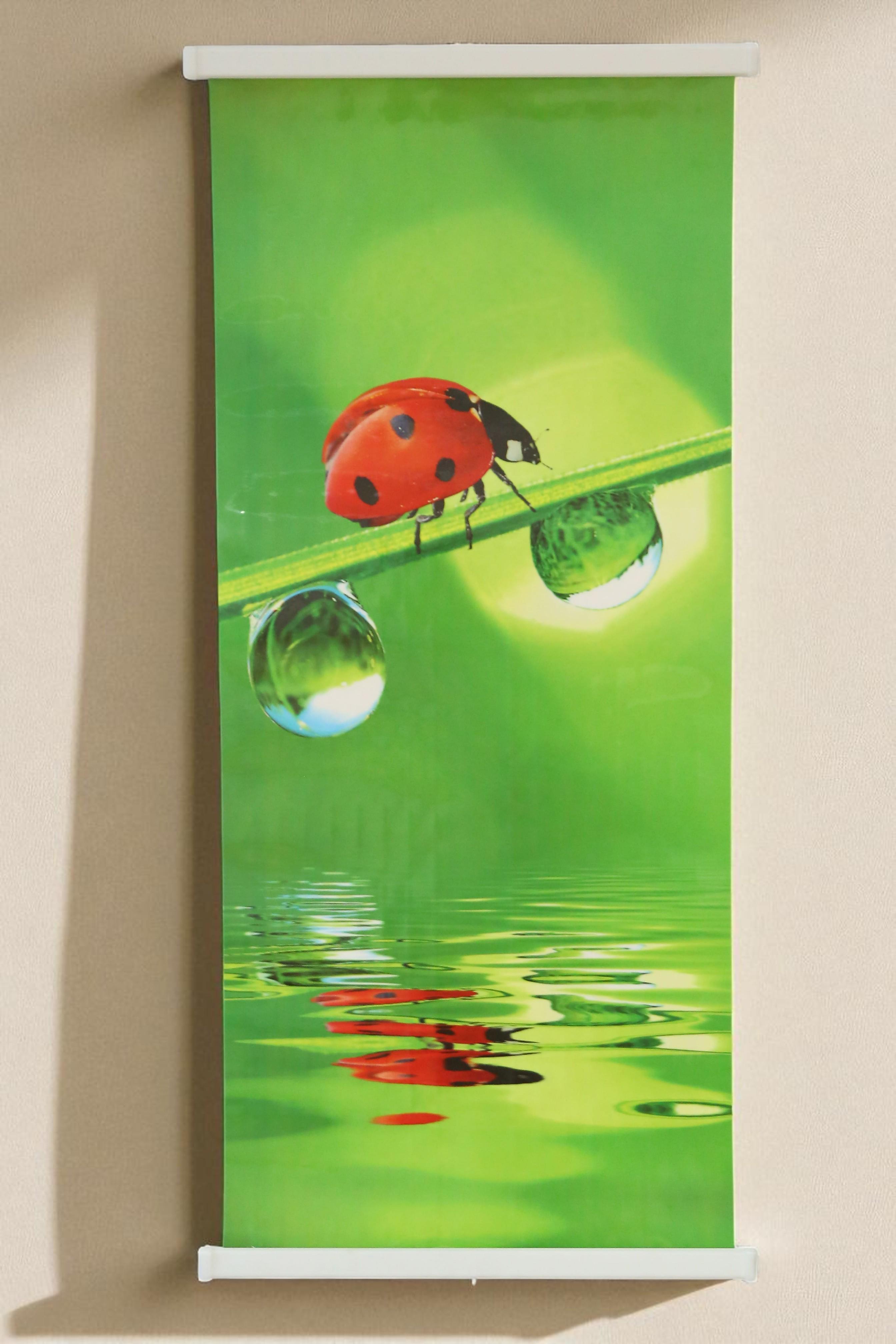 Інфрачервоний обігрівач Сонечко настінний плівковий 200 Вт (23463388)