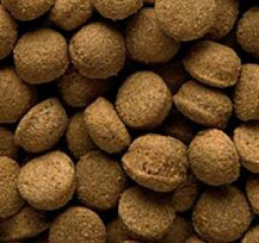 Сухий корм Champ Basic Brok для дорослих собак середніх та великих порід - фото 2 Сухий корм Champ Basic Brok для дорослих собак середніх та великих порід - фото 2