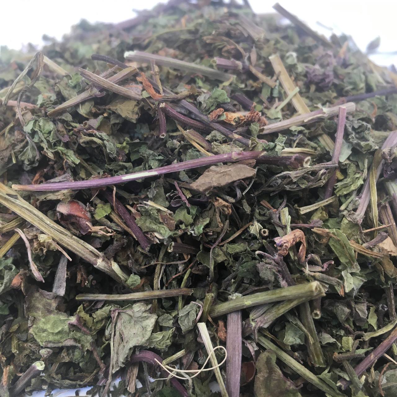 Будра плющевидная трава Карпаты 50 г (6296229640a42d7c154138c3)