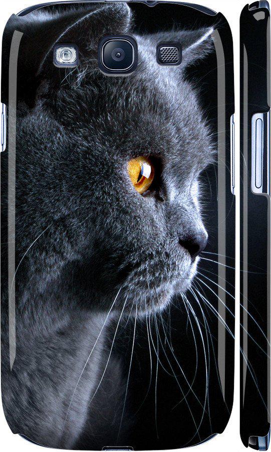 Чехол на Samsung Galaxy S3 Duos I9300i Красивый кот (3038m-50-42517)