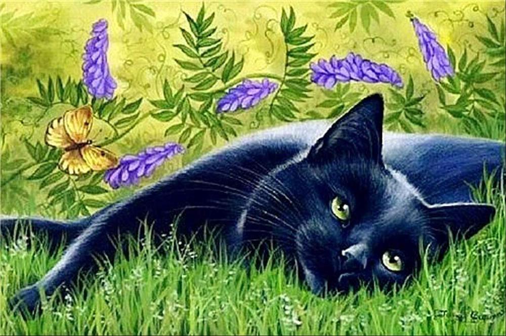 Алмазная мозаика Emerald Craft Кот 20x30 см (23664) Алмазная мозаика Emerald Craft Кот 20x30 см (23664)