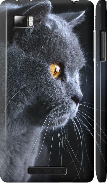 Чехол на Lenovo Vibe Z K910 Красивый кот (3038c-85-42517)