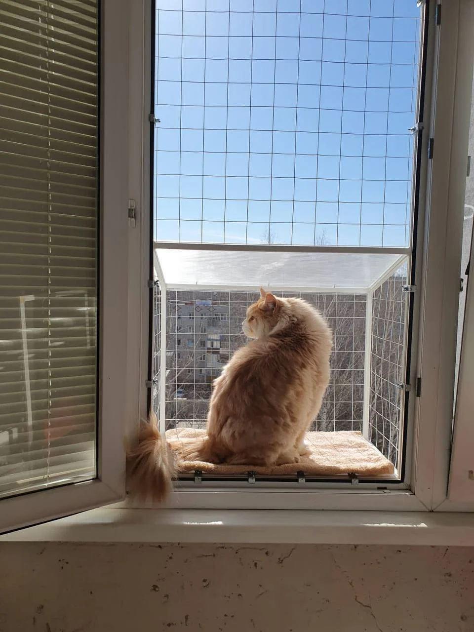 Балкон для котів підвісний прямокутний 540х420х640 см Білий (002) - фото 2 Балкон для котів підвісний прямокутний 540х420х640 см Білий (002) - фото 2