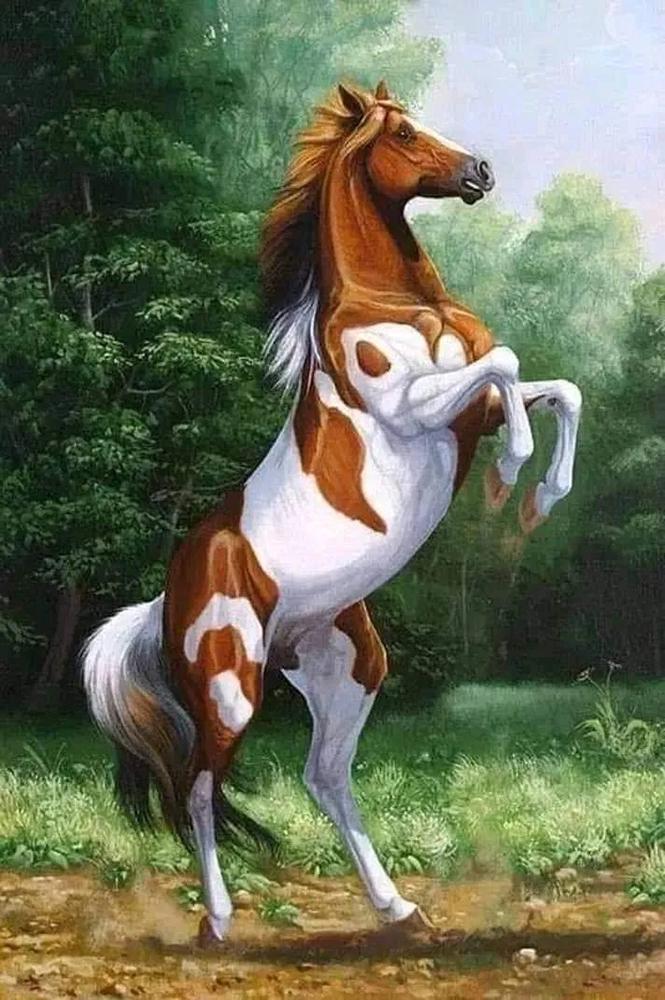 Алмазна мозаїка Emerald Craft Вільний кінь 30x40 см (23338)