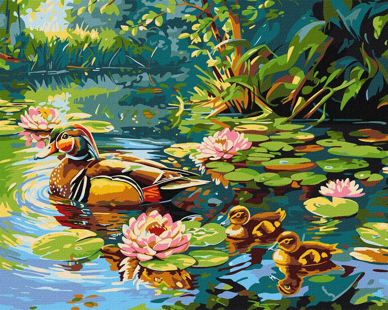 Картина за номерами Ideyka Пейзаж Сім'я качок 40х50 см