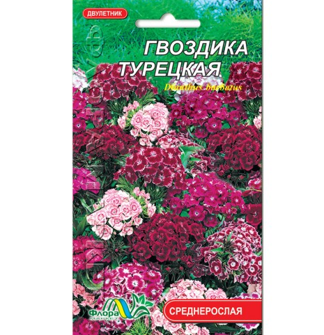 Насіння Гвоздика Турецька дворічник середньорослий 0,25 г (26034)