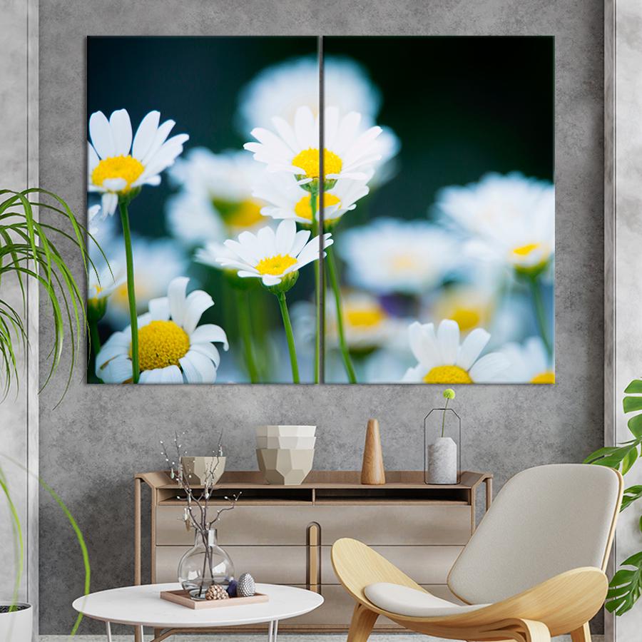 Картина цветы и растения Цветущие ромашки 165x122 см (A1060-2)
