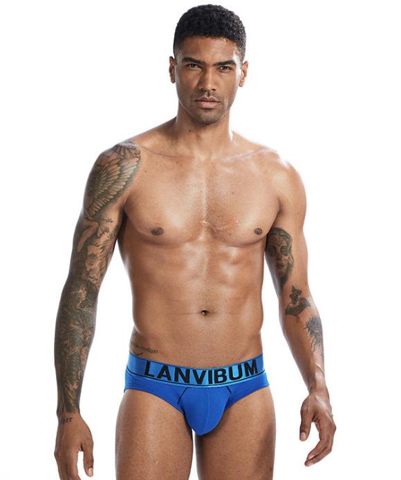 Трусы Lanvibum XXL Синий (6245)