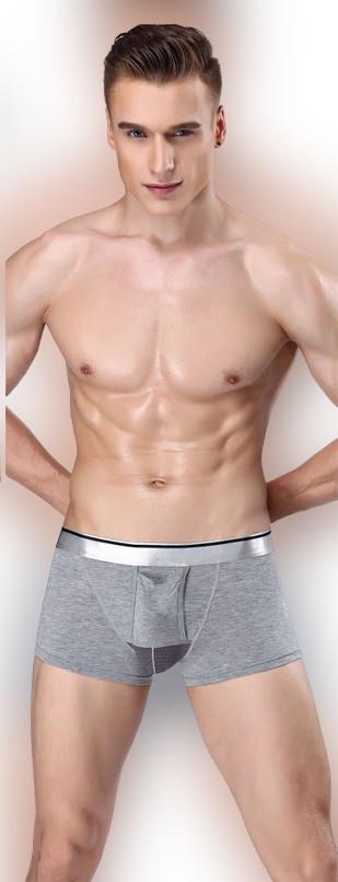 Труси боксери чоловічі XL Сірий (10000165(1)