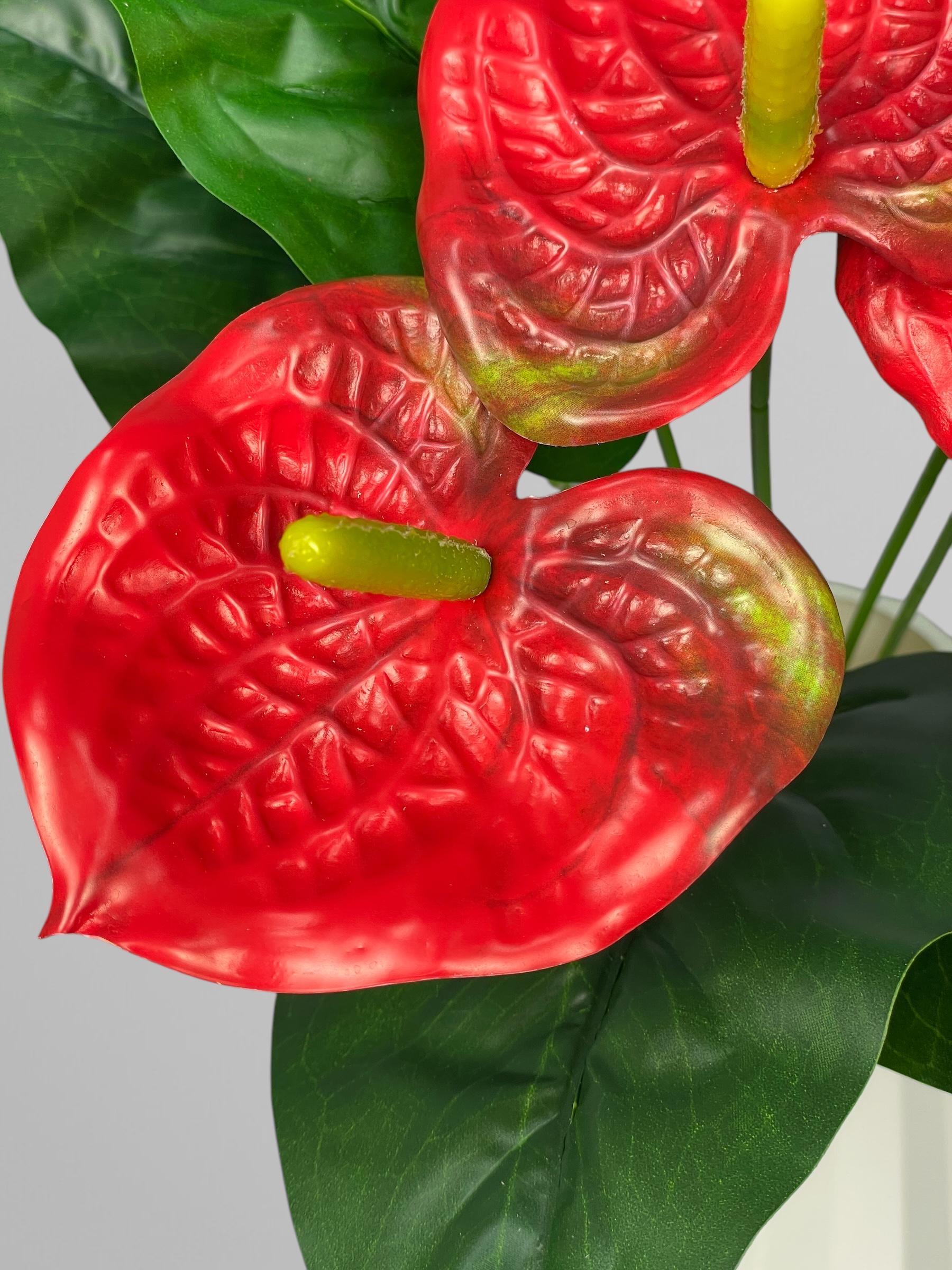 Латексный букет антуриума 3 цветка 32 см Красный (К13110) - фото 3 Латексный букет антуриума 3 цветка 32 см Красный (К13110) - фото 3