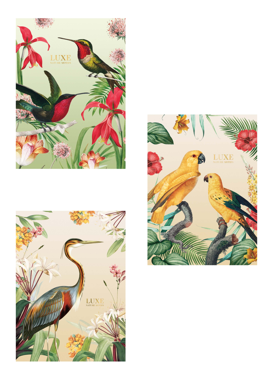 Комплект шкільних зошитів Школярик А4 40 арк. у лінію 3 шт. (548 4823088205312)