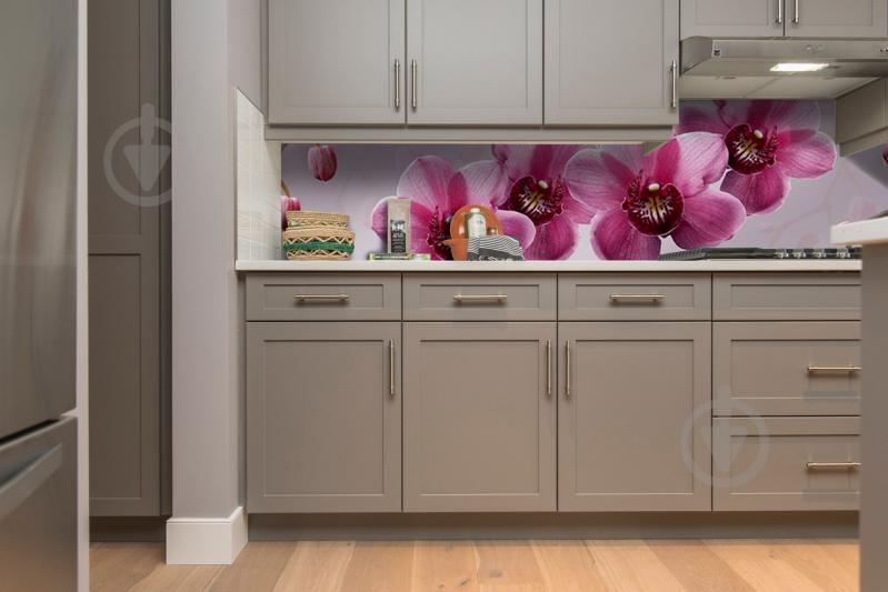 Скинали на кухню Zatarga «Крупные Розовые Орхидеи» 650х2500 мм виниловая 3Д наклейка кухонный фартук Z180593/1 Скинали на кухню Zatarga «Крупные Розовые Орхидеи» 650х2500 мм виниловая 3Д наклейка кухонный фартук Z180593/1