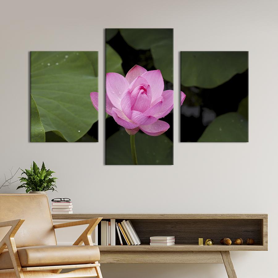Картина на холсте триптих Прекрасный розовый цветок лотоса 141x90 см (891-32)