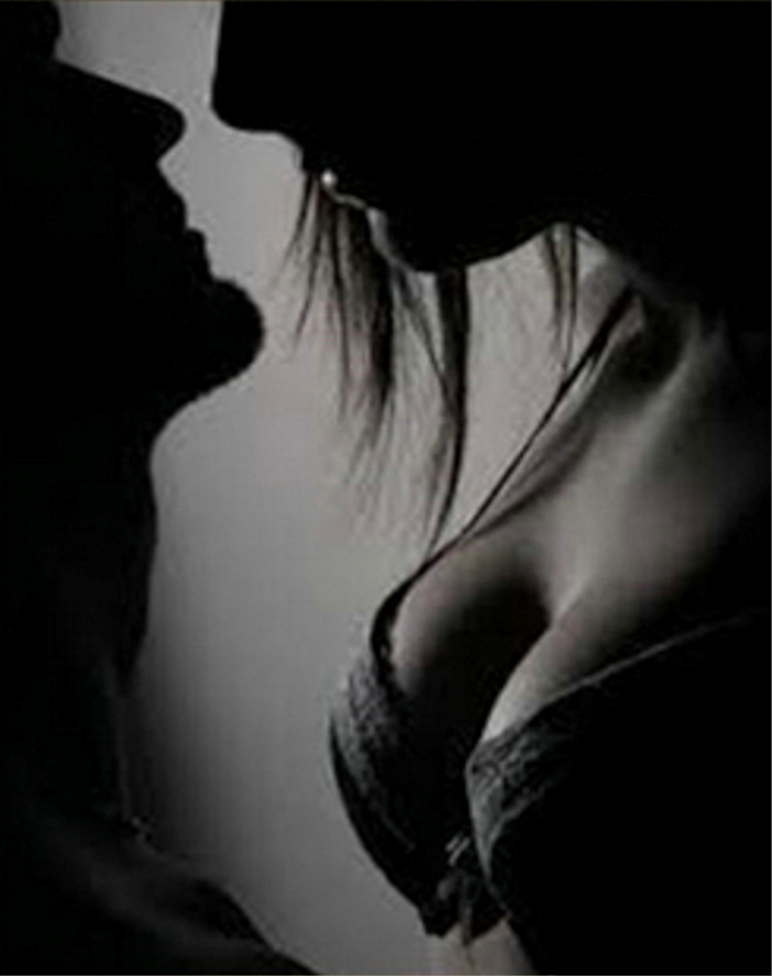 Мозаика Strateg HEG86023 Страсть на двоих Холст на подрамнике алмазная 30х40 см