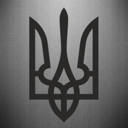 Наклейка Классический Герб Украины 24x40 см Черный (21557562)