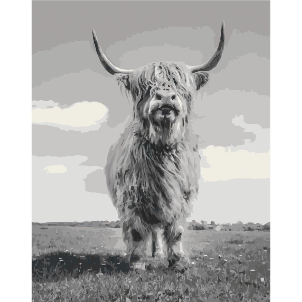 Картина по номерам ART CRAFT На пастбище 40x50 см Разноцветный (PM-194-K-666)