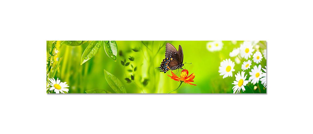 Кухонный фартук Бабочка 02 из самоклеющейся виниловой пленки 60х250 см Зеленый