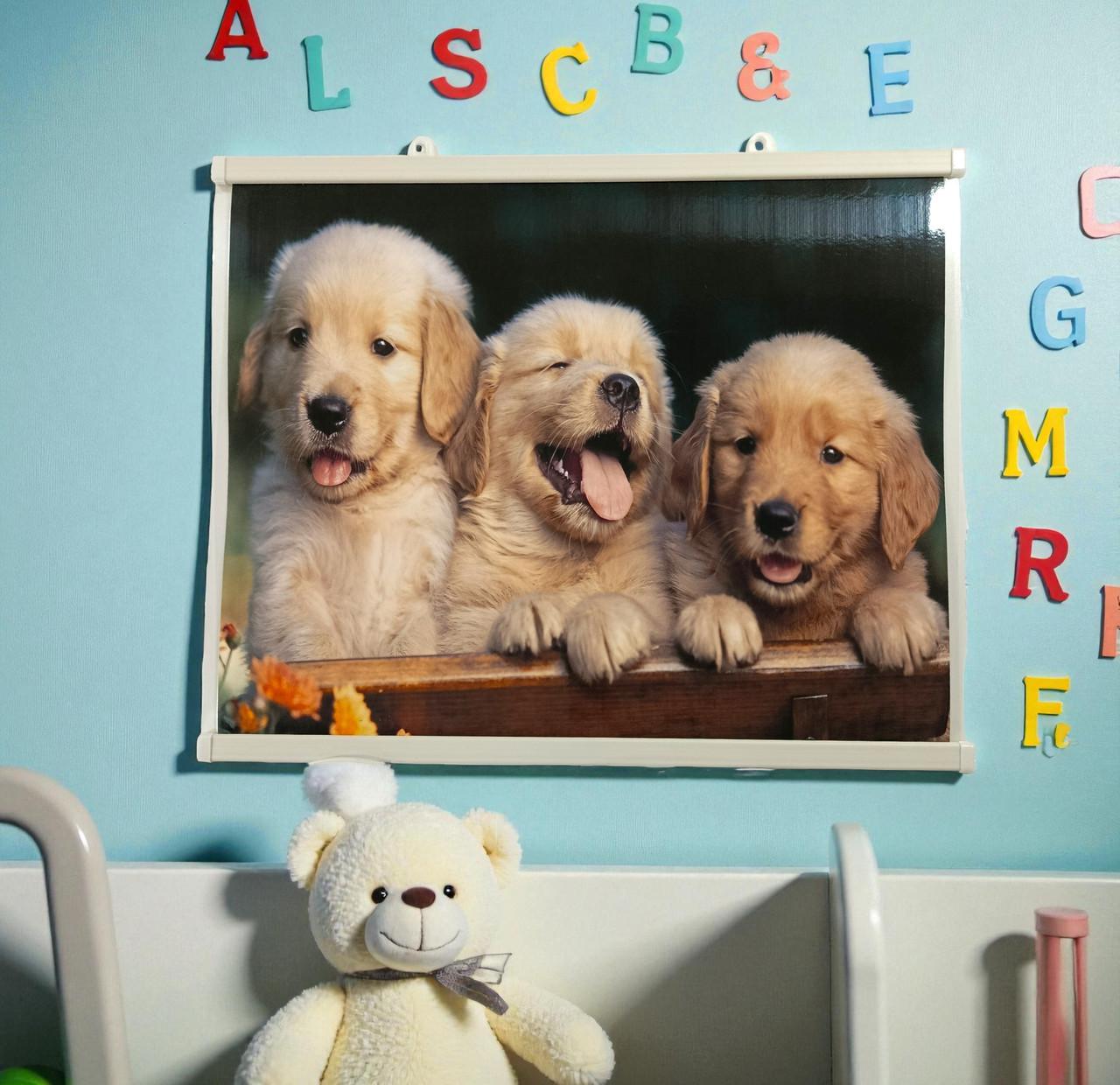 Инфракрасный обогреватель-картина Щенки пленочный 63x50 см (wkr-10034)