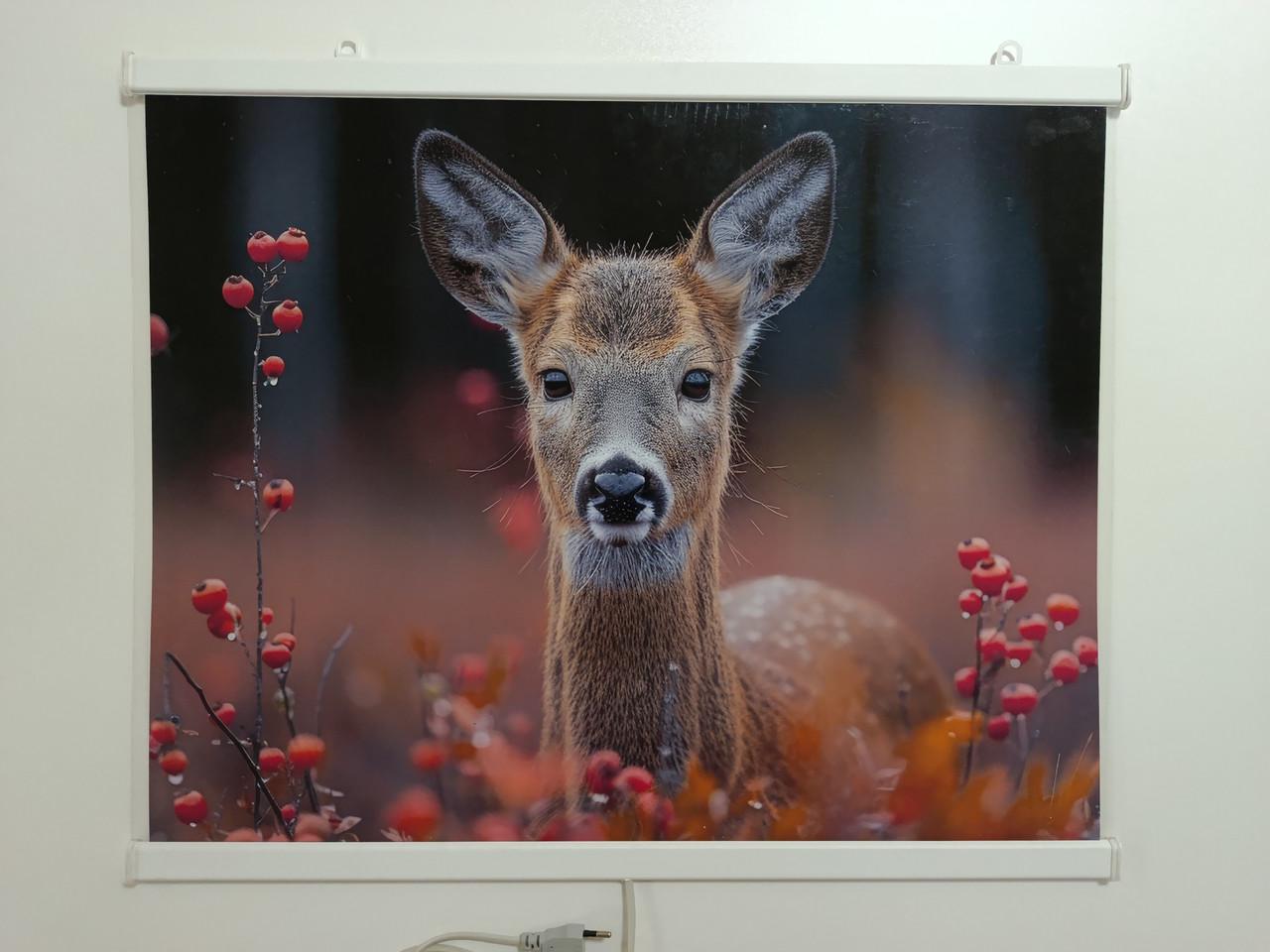 Инфракрасный обогреватель-картина Бемби настенный пленочный 240 Вт (wkr-10027) - фото 3 Инфракрасный обогреватель-картина Бемби настенный пленочный 240 Вт (wkr-10027) - фото 3