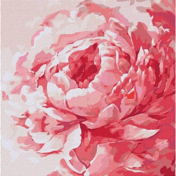 Набор для росписи по номерам Идейка Розовый пион 40х40 см (КНО2943-mt)