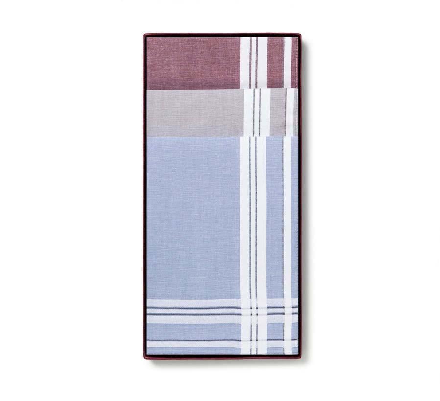 Носовые платки мужские хлопковые Guasch 104.95 D.12