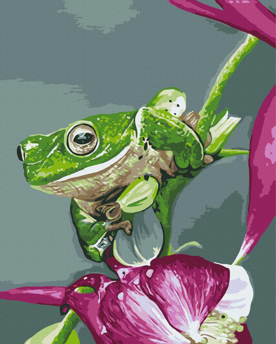 Картина за номерами Brushme Зелена грація 40x50 см (BS54482)