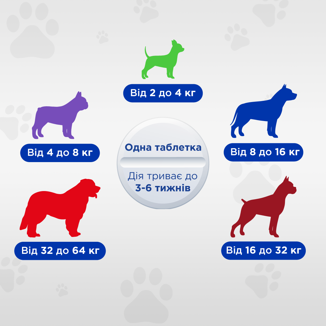 Таблетки протипаразитарні ModeS Квадромідас для собак 2-4 кг 0,2 г (27849786) - фото 4 Таблетки протипаразитарні ModeS Квадромідас для собак 2-4 кг 0,2 г (27849786) - фото 4