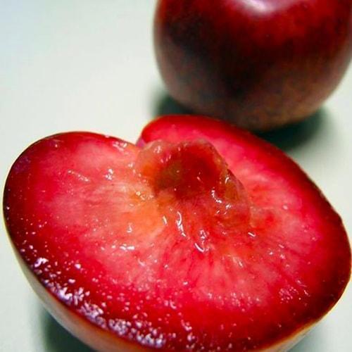 Сажанец Эксклюзив Гибрид сливы-абрикоса Плуот Dapple Dandy (47306)